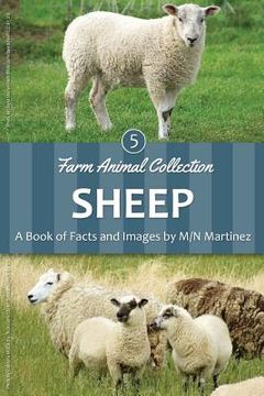 portada Sheep (en Inglés)