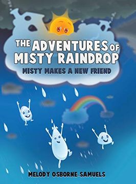 portada The Adventures of Misty Raindrop (en Inglés)