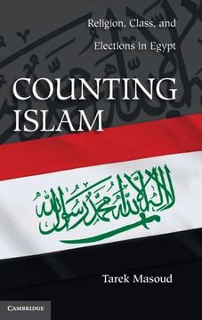 portada Counting Islam: Religion, Class, and Elections in Egypt (Problems of International Politics) 