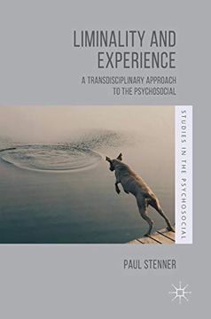 portada Liminality and Experience: A Transdisciplinary Approach to the Psychosocial (Studies in the Psychosocial) (en Inglés)