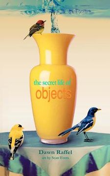 portada the secret life of objects (en Inglés)