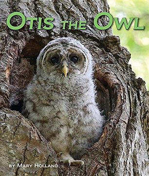Otis the Owl (in English)
