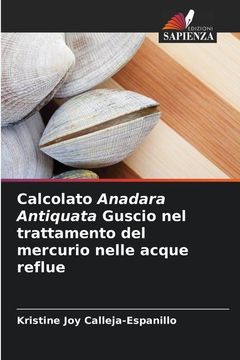 portada Calcolato Anadara Antiquata Guscio nel trattamento del mercurio nelle acque reflue (in Italian)