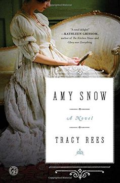 portada Amy Snow: A Novel (in English)