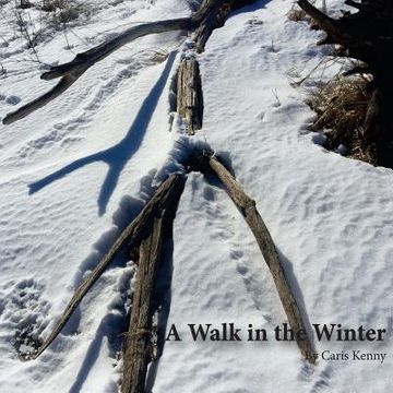 portada A Walk in the Winter