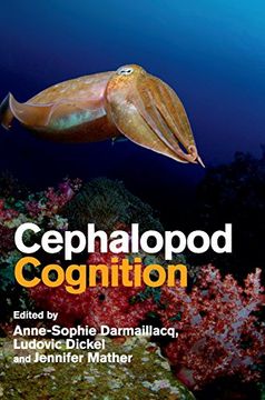 portada Cephalopod Cognition (en Inglés)