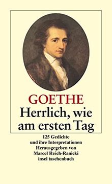 portada Herrlich wie am Ersten Tag: 125 Gedichte und Ihre Interpretationen (Insel Taschenbuch) (in German)