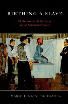 portada Birthing a Slave - Motherhood and Medicine in the Antebellum South (in English)
