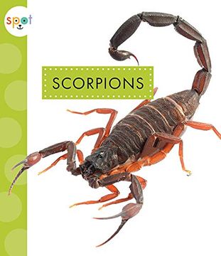 portada Scorpions (Spot Creepy Crawlies) (en Inglés)