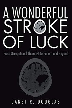 portada A Wonderful Stroke of Luck: From Occupational Therapist to Patient and Beyond 
