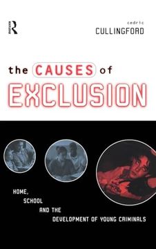 portada The Causes of Exclusion: Home, School and the Development of Young Criminals (in English)