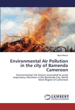 portada Environmental Air Pollution in the city of Bamenda Cameroon: Environmental risk factors associated to acute respiratory infections in the Bamenda City, North West Region of Cameroon