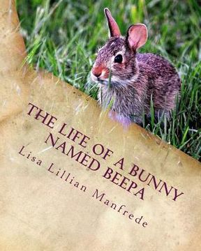 portada The Life of a Bunny Named Beepa (en Inglés)