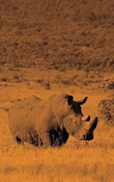 portada Alive! white rhino - Sepia - Photo Art Nots (5 x 8 series)