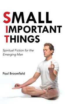 portada Small Important Things: Spiritual Fiction for the Emerging Man (en Inglés)
