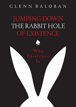 portada Jumping Down the Rabbit Hole of Existence: Why Existence is (en Inglés)