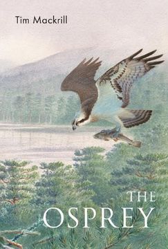 portada The Osprey (Poyser Monographs) (en Inglés)