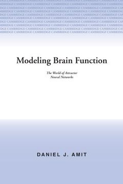 portada Modeling Brain Function Paperback: The World of Attractor Neural Networks (en Inglés)