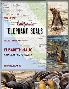 portada California Elephant Seals (en Inglés)