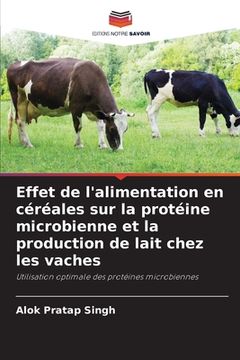 portada Effet de l'alimentation en céréales sur la protéine microbienne et la production de lait chez les vaches (en Francés)