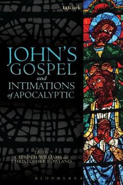 portada john`s gospel and intimations of apocalyptic thought (en Inglés)