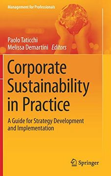 portada Corporate Sustainability in Practice: A Guide for Strategy Development and Implementation (Management for Professionals) (en Inglés)