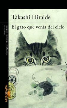 portada El Gato que Venía del Cielo (in Spanish)