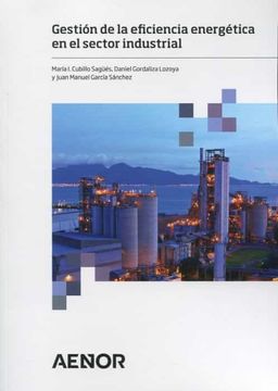 portada Gestion de la Eficiencia Energetica en el Sector Industrial