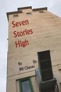 portada Seven Stories High: A collection of short stories about delusion vs. reality. (in English)