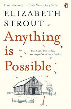 portada Anything is Possible (in English)