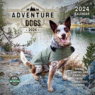 portada Adventure Dogs 2024 Wall Calendar: Hiking, Camping and Traveling With Courageous Canines | 12" x 24" Open | Amber Lotus Publishing