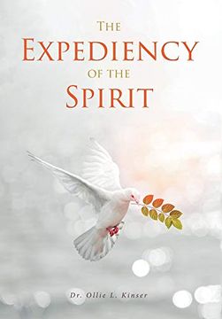portada The Expediency of the Spirit (en Inglés)