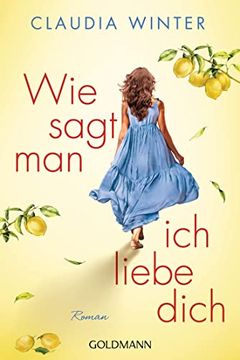 portada Wie Sagt man ich Liebe Dich: Roman (in German)