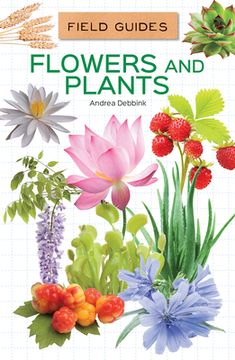 portada Flowers and Plants