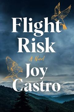 portada Flight Risk: A Novel 