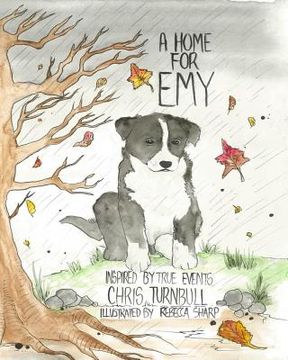 portada A Home For Emy (in English)