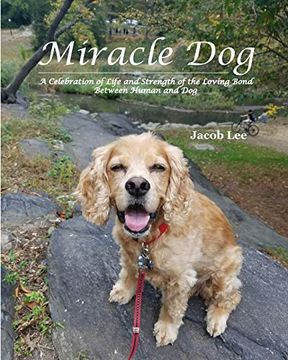 portada Miracle dog (en Inglés)