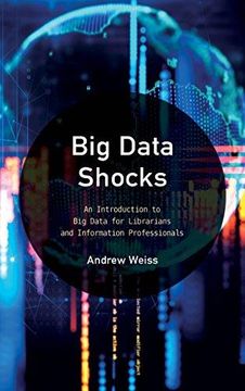 portada Big Data Shocks (in English)
