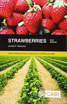 portada Strawberries (en Inglés)