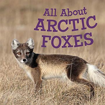 portada All About Arctic Foxes: English Edition (Nunavummi)
