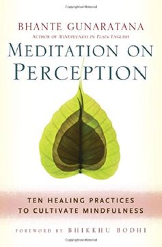portada Meditation on Perception: Ten Healing Practices to Cultivate Mindfulness 