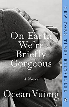 portada On Earth We'Re Briefly Gorgeous: A Novel (in English)