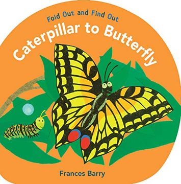 portada Caterpillar to Butterfly: Fold out and Find out (in English)