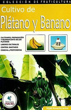 CULTIVO DE PLATANO Y BANANO