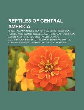 portada reptiles of central america: green iguana, green sea turtle, olive ridley sea turtle, american crocodile, garter snake, bothrops asper