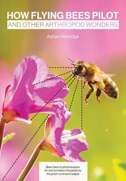 portada How Flying Bees Pilot, and other arthropod wonders (in English)