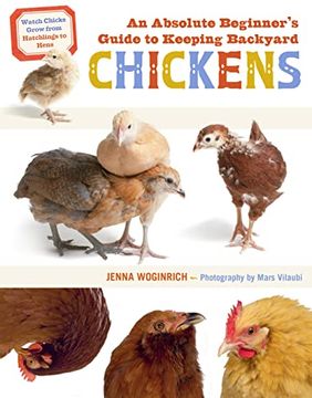 portada An Absolute Beginner'S Guide to Keeping Backyard Chickens: Watch Chicks Grow From Hatchlings to Hens (en Inglés)