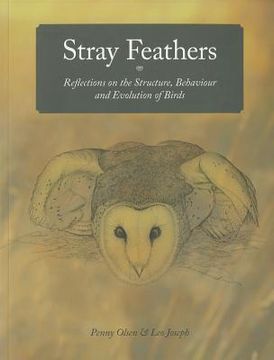 stray feathers