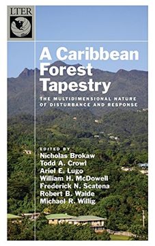 portada Caribbean Forest Tapestry: The Multidimensional Nature of Disturbance and Response (The Long-Term Ecological Research Network Series) (en Inglés)