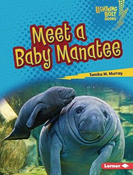 portada Meet a Baby Manatee (Lightning Bolt Books ® ― Baby North American Animals) (en Inglés)